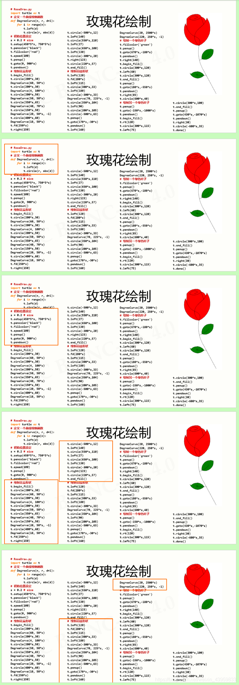 5 python 实例16-玫瑰花绘制