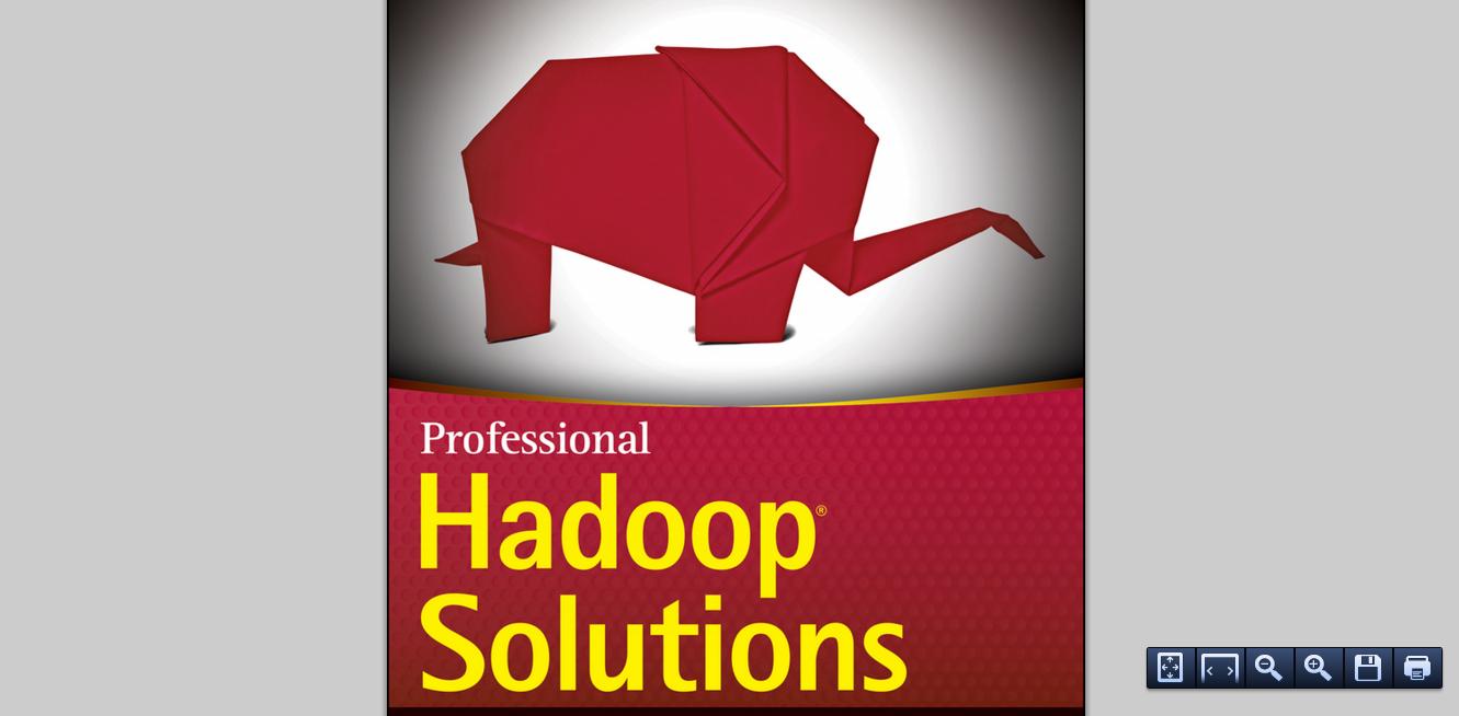 Professional Hadoop Solutions by Boris Lublinsky