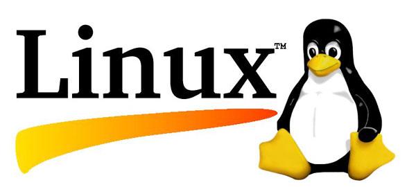 Linux的10个最危险的命令 