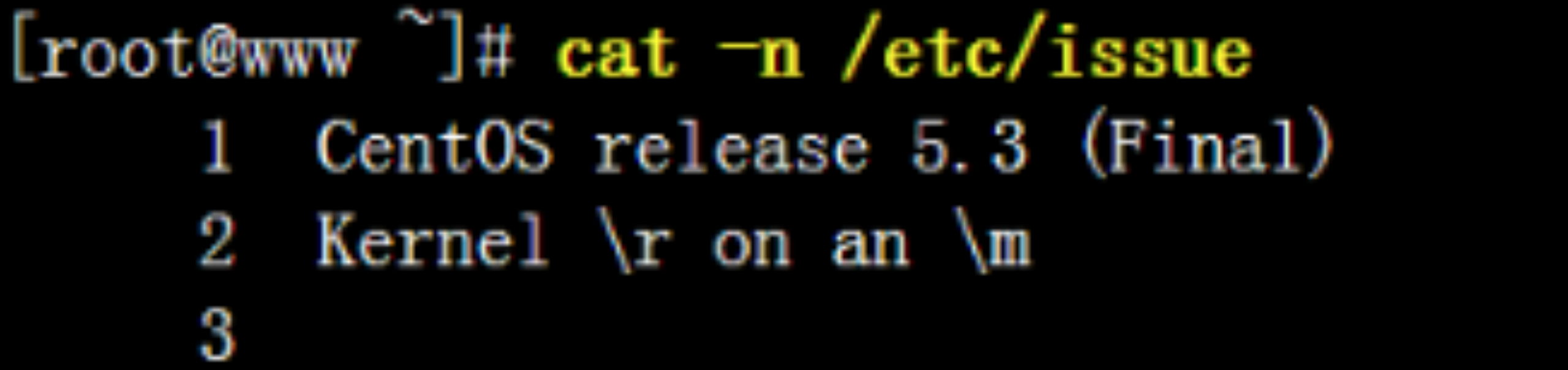 #yyds干货盘点#Linux基础命令及操作-查看文本_linux_02