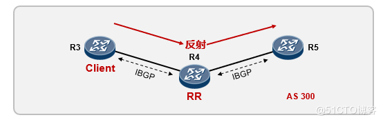 Calico BGP RR Model_bgp_02