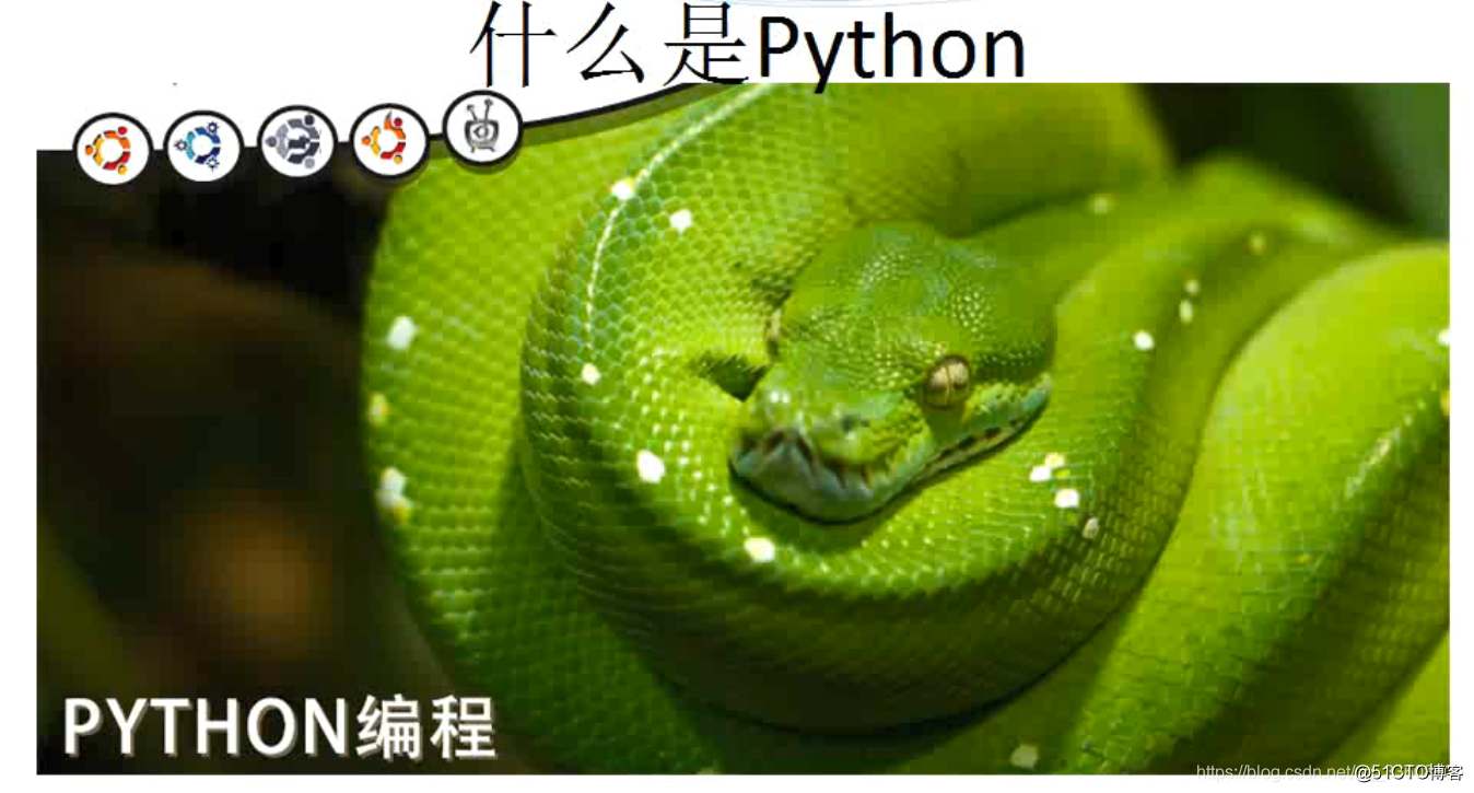 python基础——走进python_python_05
