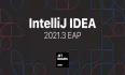 IntelliJ IDEA2021.3 新版 即将来袭，这次又出了哪些神仙功能！