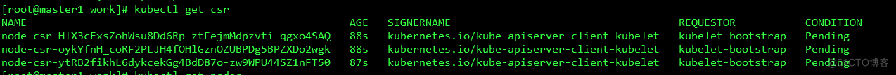 kubernetes二进制安装1.18版本_k8s_04