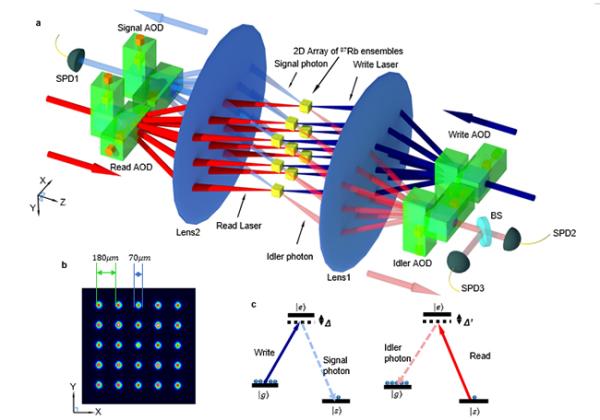 二维原子系综量子接口阵列之间产生和验证量子纠缠的个量实验装置图
