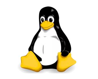前后端必备Linux基础知识大科普