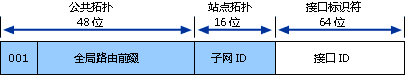 IPv6技术详解