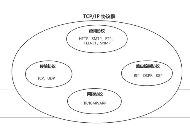 TCP/IP 协议就是传输洋葱？一文带你深入了解