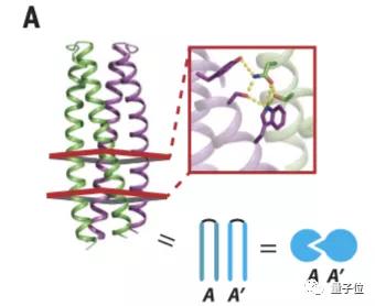 真“碳基电路”：用蛋白质逻辑门把细胞变成计算机 | Science