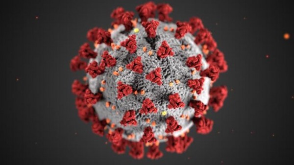 This illustration, created at the Centers for Disease Control and Prevention (CDC), reveals ultrastructural morphology exhibited by coronaviruses. 