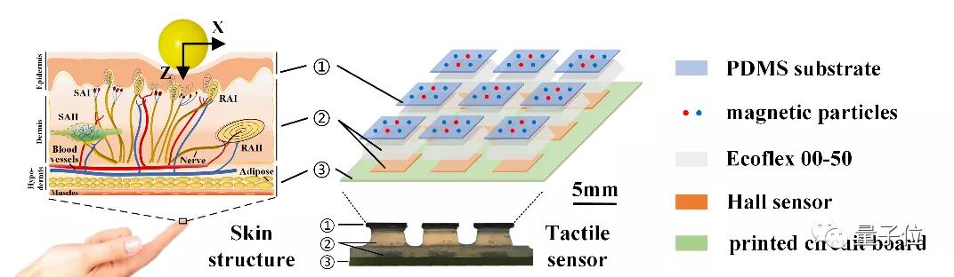 机器用上AI后，拥有了堪比人类皮肤的触觉丨Science子刊