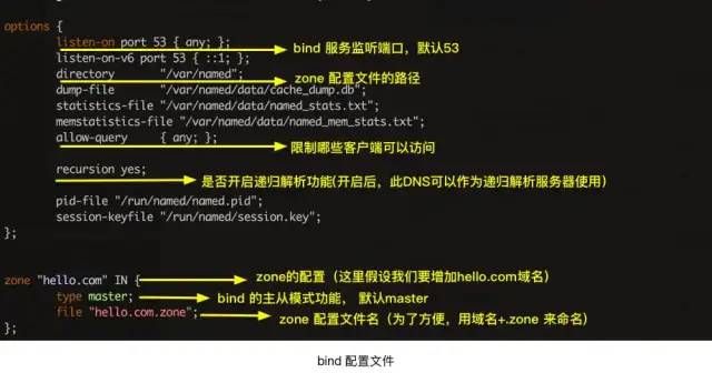 一文搞懂 DNS 基础知识，收藏起来有备无患