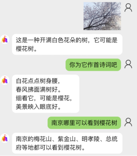 带“眼睛”的ChatGPT应用来了！百亿参数多模态大模型加持，读图聊天样样全能