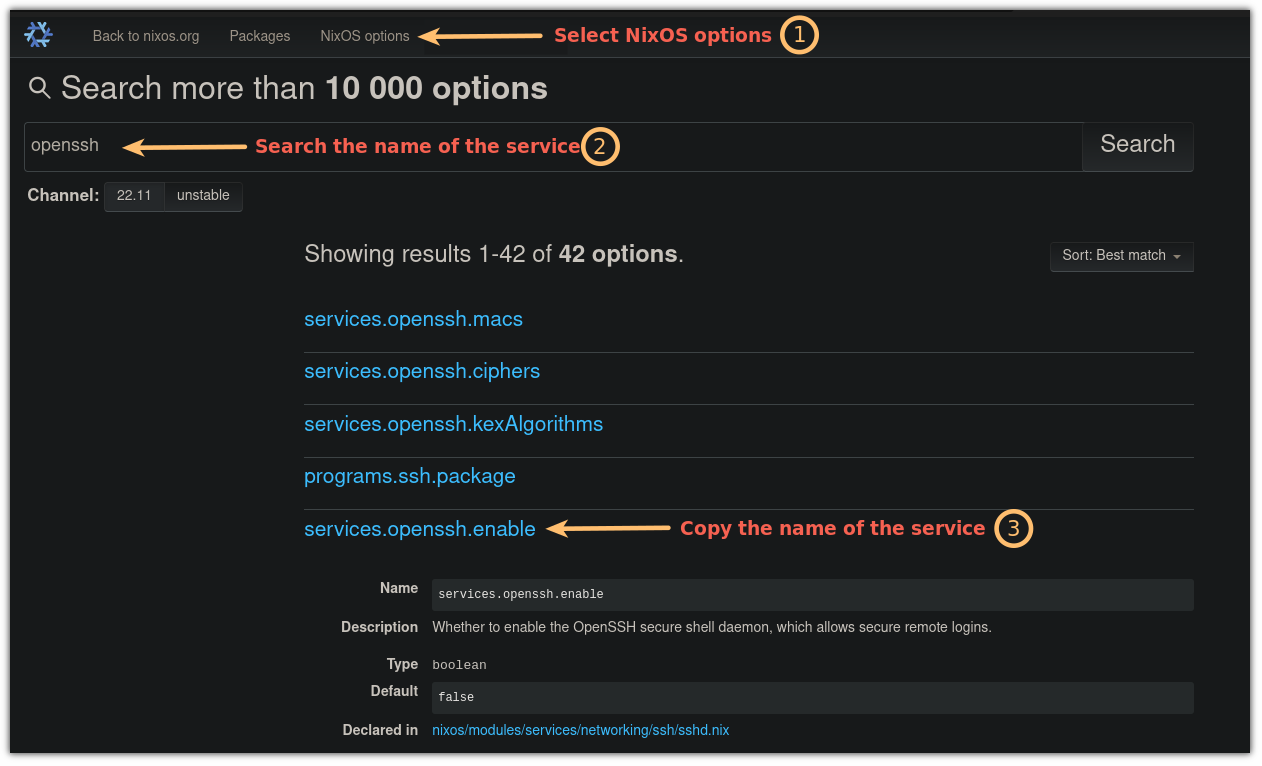 搜索 NixOS 中的 OpenSSH 服务