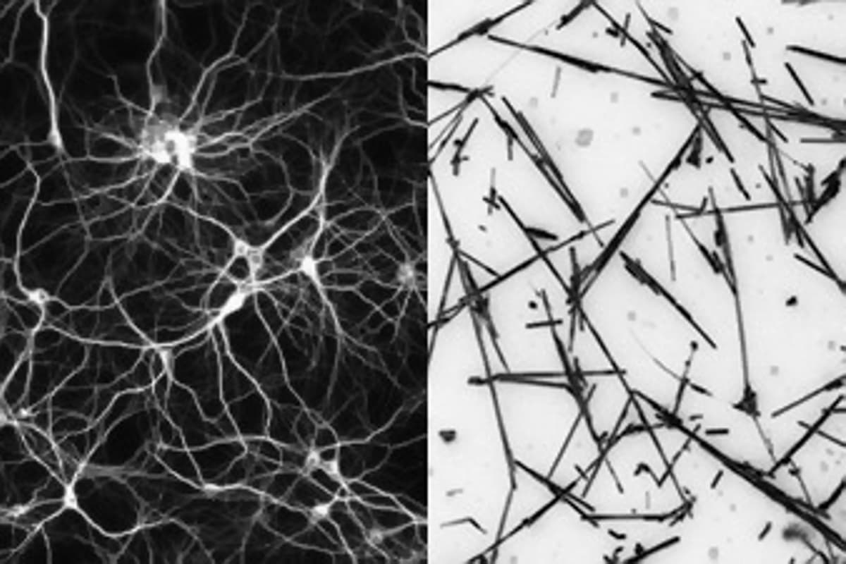人工智能新突破：研究人员发现纳米线网络能像人脑一样学习和记忆