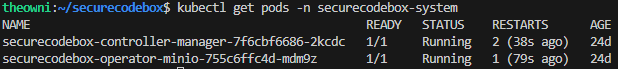 在K8s中运行secureCodeBoxPods