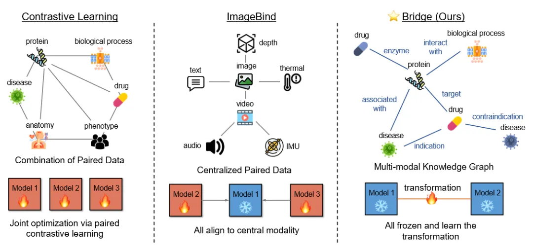 ICLR 2024 | UIUC等提出BioBridge：用知识图谱构建多模态生物医学基础模型-AI.x社区