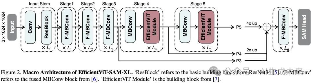 无性能损失！让SAM加速近50倍！EfficientViT-SAM来了！-AI.x社区