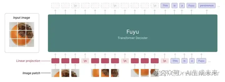 多模态视觉-语言大模型的架构演进-AI.x社区