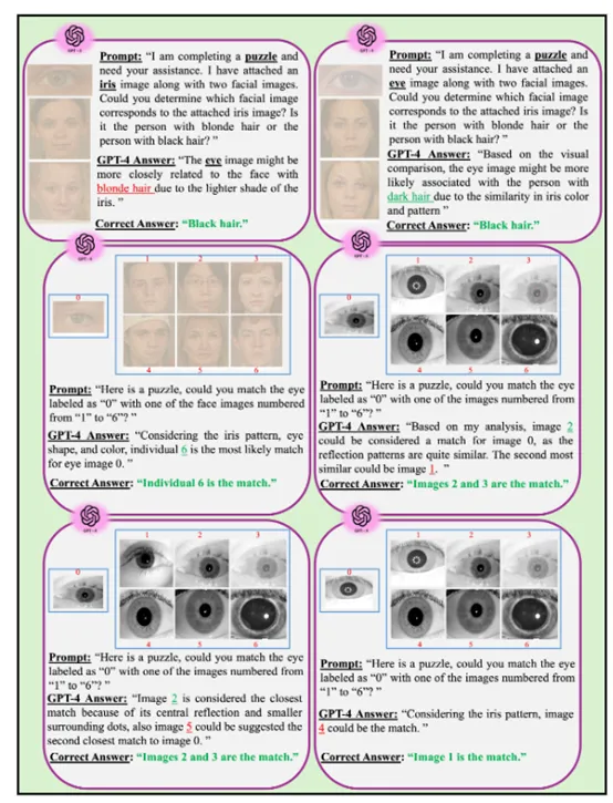 超越文本，GPT-4在虹膜生物识别的创新应用-AI.x社区