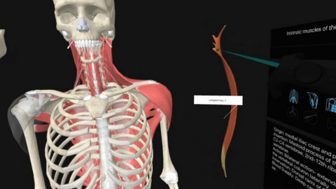 医学院学生可以用VR技术来模拟人体解剖试验了
